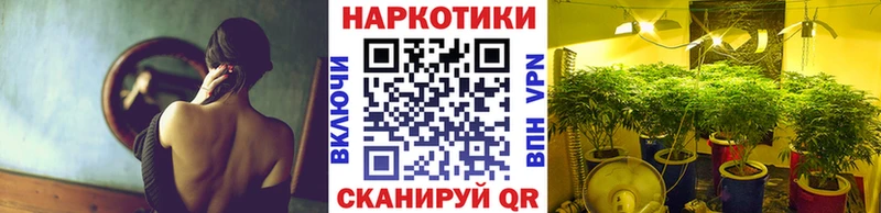Наркошоп Тайга Марихуана  СОЛЬ  ГАШИШ 