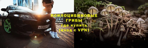 соль ск Арсеньев