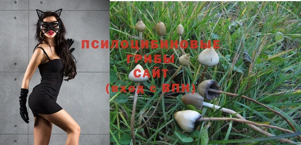 ALPHA PVP Армянск