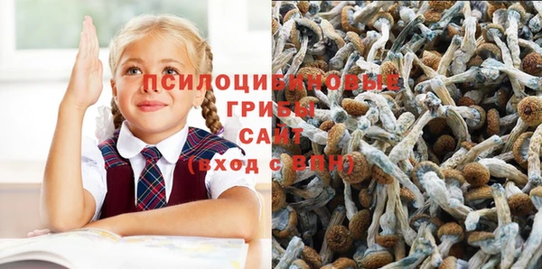 соль ск Арсеньев